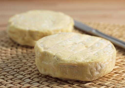 French Cheese called Saint Marcellin produced from Cow's Milk