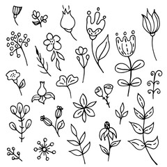Set of hand-drawn plants. Doodle images of a flower. Floral vector for web, textiles, postcards, prints. Abstract plants, leaves, flowers.