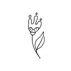 Hand-drawn plant. Doodle image of a flower. Floral vector for web, textiles, postcards, prints. Abstract plants, leaves, flowers.
