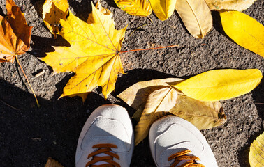 Gray grey sport shoes sneakers on the background of dry yellow leaves on the sidewalk in autumn...