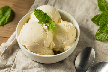 Homemade Frozen Vanilla Ice Cream