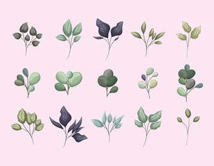 set of green leaves painting design of Natural floral nature and plant theme Vector illustration