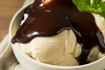 Homemade Frozen Vanilla Ice Cream