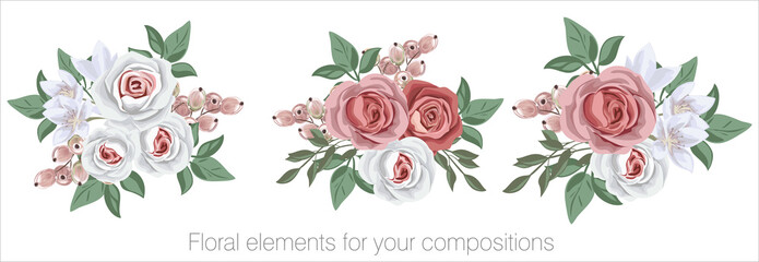 Vector floral set with leaves and flowers. Elements for your compositions, greeting cards or wedding invitations. Red and white roses, berries and white flowers