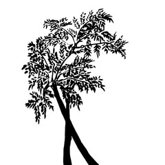 Hand drawn Black and White Tree Silhouette Element