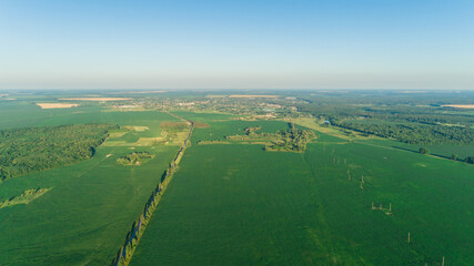 Obraz premium Beautiful aerial drone view agricultural green corn field, forest, village, trees, blue sky, road at summer sunset