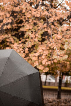 OTO&Ntilde;O