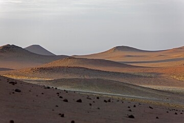 Fototapeta na wymiar Landscape in Paracas National Park, Peru