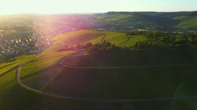 Amazing slowly spinning aerial view of vineyard on mountains with town in the background during sunset from left to right filmed in 4k in Stuttgart Germany.