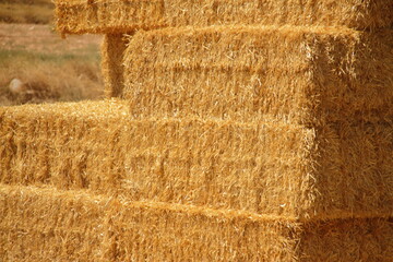 Hay texture. Square hay bales
 are stacked in large stacks. Harvesting in agriculture. 
