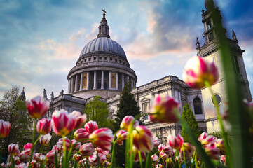 Fototapeta na wymiar St. Paul's Cathedral located in Central London, UK.