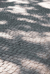 The road is paved with gray slabs. Road surface in Sunny areas