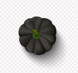 Obraz premium Black pumpkin isolated on a transparent background. Decorative element for Halloween and other holidays.Realistic vector illustration.