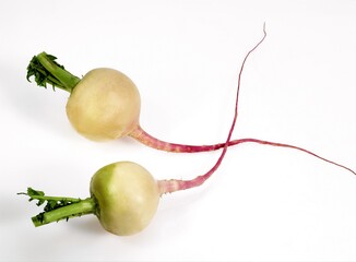 Turnips, brassica rapa, Vegetable against White Background