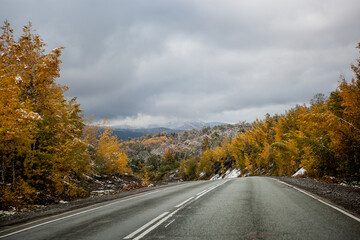asphalt road in the mountains in late autumn, golden forest covered by the first snow, cloudy sky