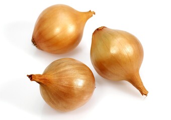 French Onions called Grelot, allium cepa against White Background