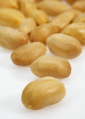 Peanuts, arachis hypogaea, Fruits against White Background