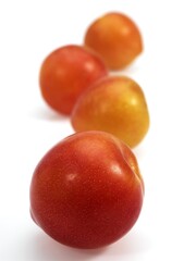 Yellow Plums, prunus domestica, Fruits against White Background