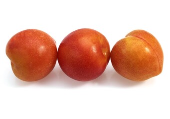 Yellow Plums, prunus domestica, Fruits against White Background