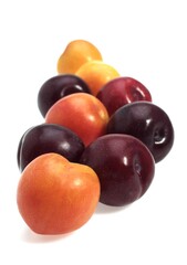 Red and Yellow Plums, prunus domestica, Fruits against White Background