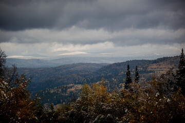 view of the snow-capped mountains through the autumn forest in cloudy weather