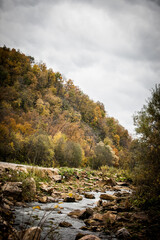 rapid flow of a mountain river with clear water among the trees in late autumn