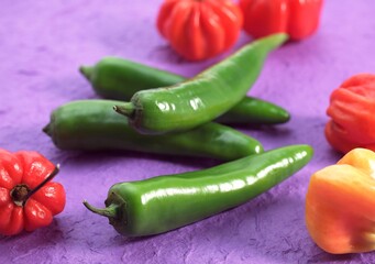 Green Chili Pepper, capsicum sp. and Martinique Hot Pepper
