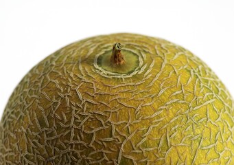 Italian Melon, cucumis melo, Fruit against White Background