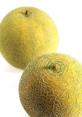 Italian Melon, cucumis melo, Fruits against White Background