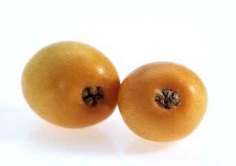 Medlars, eriobotrya japonica, Fruits against White Background