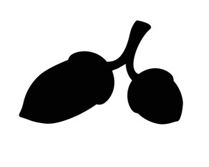 Acorns on a branch - black vector silhouette for pictogram or logo. Two acorns large and small - a sign or icon.