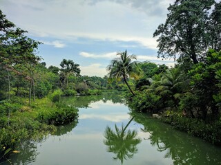 Gardens by the Bay in Singapore