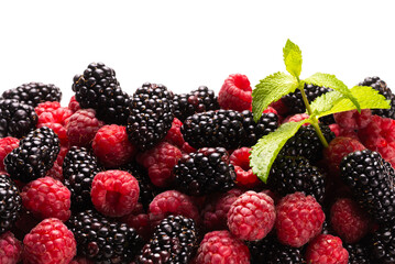 Raspberry, blackberry and mint leaf
