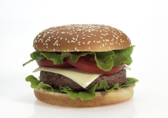 Hamburger against White Background
