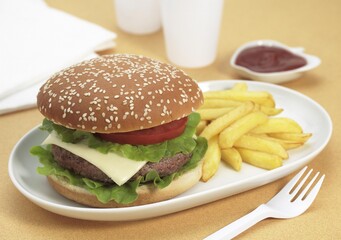Plate with Hamburger and French Fries