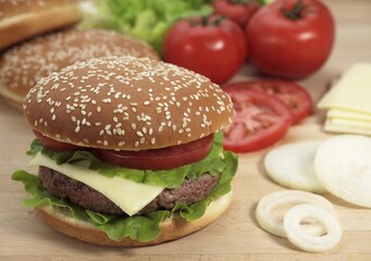 Hamburger with Ingredients