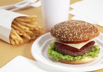 Hamburger with French Fries