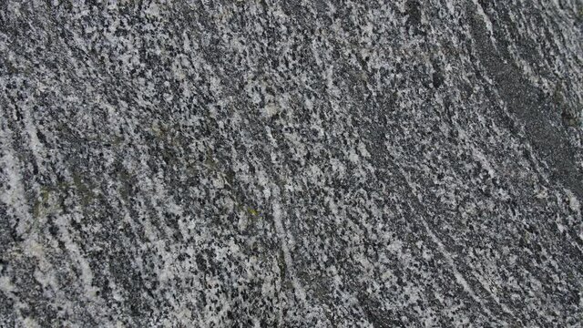 Raw gray and white granite texture