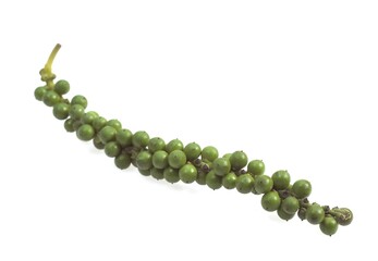 Fresh Green Peppercorn, Piper nigrum, Berries against White Background