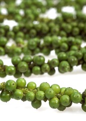 Fresh Green Peppercorn, Piper nigrum, Berries against White Background