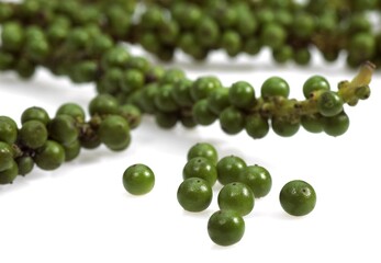 Fresh Green Peppercorn, Piper nigrum, Berries against White Background