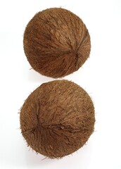 Coconut, cocos nucifera, Fruits against White Background