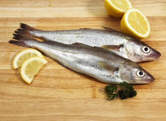 Fresh Whiting, merlangius merlangus, Fishes with Lemon and Parsley