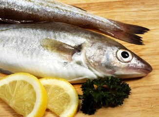 Fresh Whiting, merlangius merlangus, Fishes with Lemon and Parsley