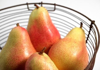 Rosemary Pear, pyrus communis, Fresh Fruits