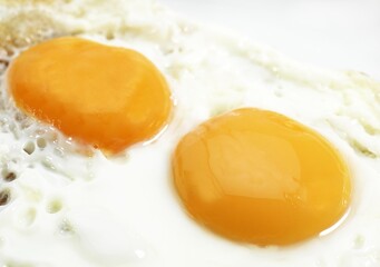 Fried Eggs in a Plate