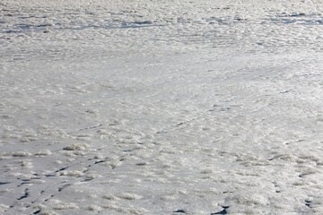 Foam at the Surface of Sea, False Bay in South Africa