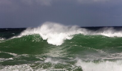 Waves, Coast at Hermanus in South Africa