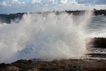 Waves, Coast at Hermanus in South Africa