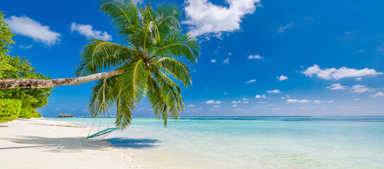 Tropical beach background as summer landscape panorama with beach swing or hammock and white sand and calm sea beach banner. Perfect beach scene vacation or summer holiday concept